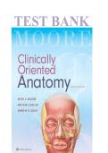 Test Bank&colon; Clinically Oriented Anatomy &lpar;8th Edition&rpar; &ndash; Keith L&period; Moore&comma; Arthur F&period; Dalley & Anne M&period; R&period; Agur