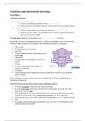 Samenvatting hoorcolleges KWALO 2024&sol;2025