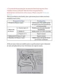 Updated Latest Structure of Head and Neck Test Bank Comprehensive Exam Questions and Verified Answers for Anatomy Mastery 2025&ndash;2026 This Complete Study Resource Covers Cranial Structures Muscles Nerves and Clinical Anatomy Concepts for Students This Exam 