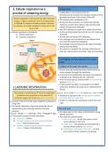 Cellular respiration&colon; Aerobic and Anaerobic metabolism