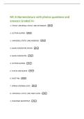 MCCC Entrance Exam &lpar;October 2026&rpar; Exam questions  and answers Graded A&plus;&vert; 2026 Updated 
