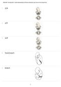 Nursing 2410 Fetal Positioning Quiz and Pictures &ndash; Nursing Course Material &ndash; Visual Study Guide