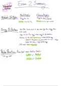 Biology 172 Exam 2 Summary Notes &ndash;&nbsp;University of Michigan 