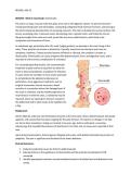 Chamberlain University BIOS-256&colon; BIOS256 - Week 2 Case Study&colon; Diverticulitis 2026 update