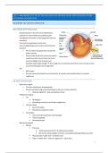 Samenvatting OFTALMOLOGIE