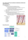 Samenvatting DERMATOLOGIE