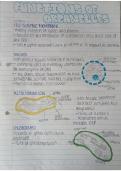 A-level AQA Biology ~ Cells ~ Functions of Organelles