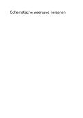 Klinische neuropsychologie samenvatting t&sol;m H8