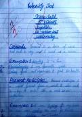 Class notes English  