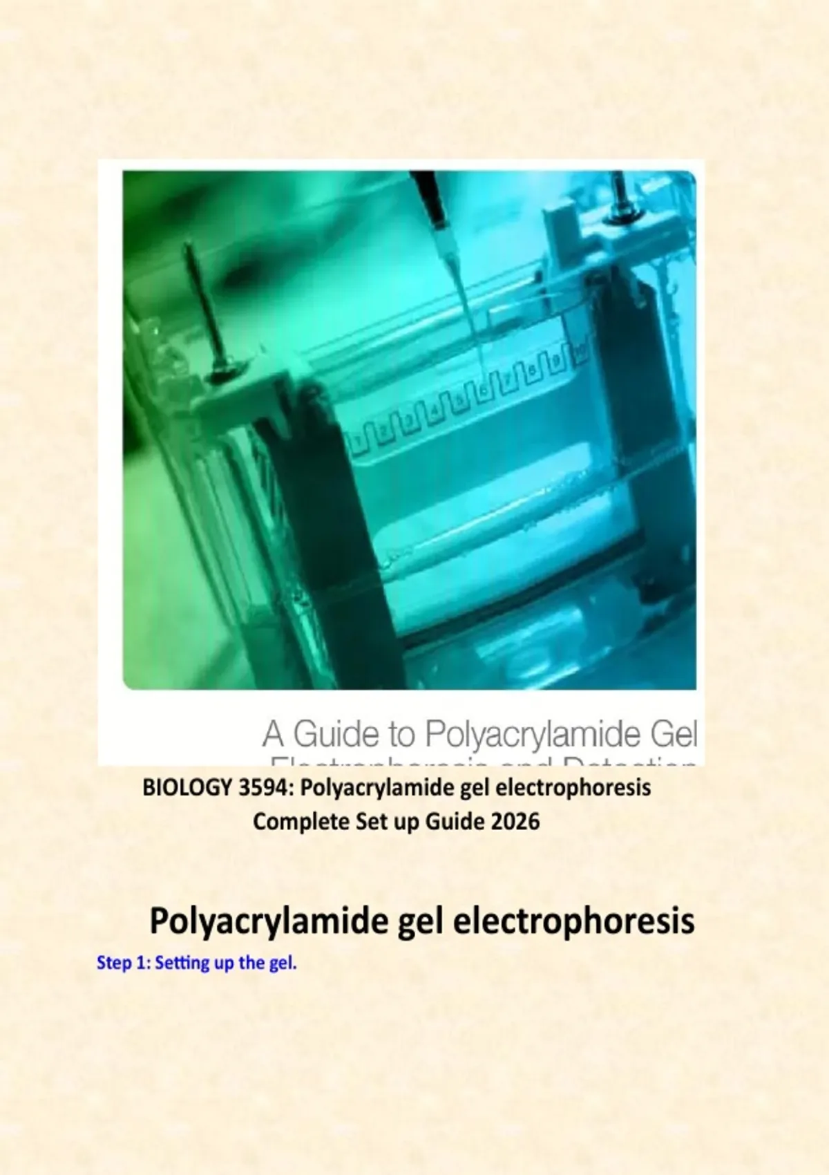 BIOLOGY 3594: Polyacrylamide gel electrophoresis Complete Set up Guide ...