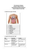 NUR 505 Advanced Health Assessment&vert; Module 9 Abdomen Study Guide&vert; Questions and answers &vert; Updated Rated A&plus; &vert; 2026