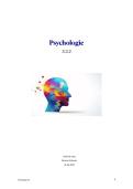 Essay 3&period;3 psychologie beroepsproduct 