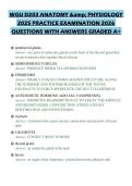 WGU D203 ANATOMY & PHYSIOLOGY 2025 PRACTICE EXAMINATION 2026 QUESTIONS WITH ANSWERS GRADED A&plus;