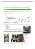 Uitgebreidde samenvatting geneeskunde van de gezelschapsdieren I 