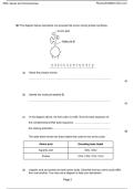 4&period;1 DNA chromosome and gene past questions and answers