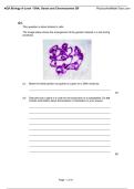 4&period;1 DNA chromosome and gene past questions and answers
