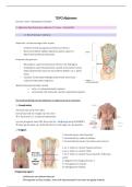 Samenvatting abdomen&colon; topografische anatomie