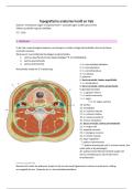 Samenvatting Hoofd en hals&colon; topografische anatomie 
