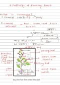 Class notes Sci 09  Basic Morphology of Flowering Plants