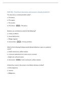 NUR 504 - Final Exam Questions and answers already Graded A&plus;  