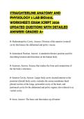 STRAIGHTERLINE ANATOMY AND PHYSIOLOGY 2 LAB BIO202L WORKSHEETS EXAM SCRIPT 2026 UPDATED QUESTIONS WITH DETAILED ANSWERS GRADED A&plus;