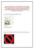 EARTH SCIENCE FINAL EXAM &sol; CURRENT FINAL EXAM EARTH SCIENCE  2026 COMPLETE ACCURATE EXAM ACTUAL QUESTIONS AND CORRECT DETAILED ANSWERS &lpar;VERIFIED SOLUTIONS&rpar; LATEST UPDATED VERSION 2026 EDITION &vert;GUARANTEED PASS A&plus; &lpar;BRAND NEW&excl;&rpar; FULL REVISED