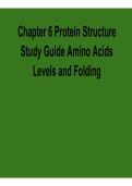 Chapter 6 Protein Structure Study Guide Amino Acids Levels and Folding 2026 Updated &ndash; Biochemistry&comma; Protein Organization&comma; Folding & Function Review