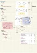 Galactose en fructose samenvatting