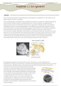 Samenvatting Hoofdstuk 6&period;2 - Celbiologie