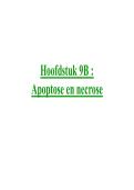 Samenvatting Hoofdstuk 9&period;2 - Celbiologie