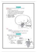  Human Anatomy &ndash; Dr&period; Kamal &lpar;course code not specified&rpar;&comma; &lpar;institution not specified&rpar;&comma; &lpar;academic year not specified&rpar; &ndash; comprehensive lecture notes