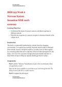 BIOS 252 Week 6 Nervous System Sensation With 100- accuracy