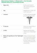 Basic Nursing Chapters 1&ndash;3 Study Guide &ndash; Core Concepts&comma; Simplified Notes & A&plus; Guaranteed Success