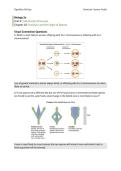 IAG 18 &ndash; OpenStax Biology 2e Instructor Answer Guide Chapter 18 Solutions 2026
