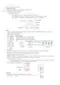Latest Preview Thumbnail