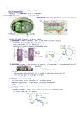 Energy IV&colon; More Photosynthesis&comma; Alternatives