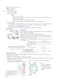 Mutations
