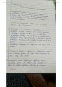 Handwritten Notes For Business Studies 12th Grade&period; Management Basics&period;