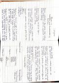 Class notes Business Studies  CH&colon; EVOLUTION & FUNDAMENTALS OF BUSINESS &lpar;Handwritten notes &rpar;