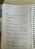 Samenvatting DNA 
