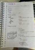 Samenvatting Planten - Biologie voor jou
