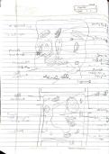 Class notes Biology  Tissue&NewLine;