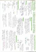 Biological psychology complete bundle&excl;&excl; - Edexcel A level psychology