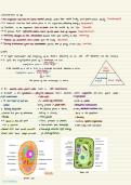 IGCSE Co-ordinated Sciences&lpar;0654&rpar; notes