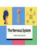 NUR1020C The Nervous System - Exam 3 Florida SouthWestern State College&comma; Lee