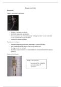Biologie Hoofdstuk 2 &vert; Skelet & Gewrichten &vert; VMBO &vert; 2025&sol;26