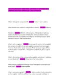 AAB&lowbar;MT&lowbar;HEMATOLOGY&lowbar;EXAM&lowbar;SCRIPT&lowbar;2026&lowbar;PRACTICE&lowbar;QUESTIONS&lowbar;WITH&lowbar;COMPLETE SOLUTIONS 