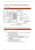 Wetenschappen 2&colon; Anatomie bloedvaten &vert; Verpleegkunde &vert; Arteveldehogeschool