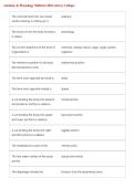 Anatomy & Physiology Midterm 2026 Exam&lpar;Jersey College&rpar;