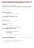 Karolingische & Romaanse Architectuur &vert; Cultuurwetenschappen 1A &vert; Hasselt &vert; 2025&sol;26